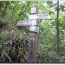 금남주유소 이미지