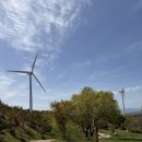 하늘경관 | 경주 겹벚꽃 숨은 명소, 불국사 대신 선택한 '토함산 수목경관숲' 대만족 후기