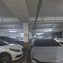 봉현초등학교 | [숭실대 임장후기] 관악현대아파트 야간 임장후기 - 입지는 끝내주는 아파트