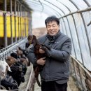 초방리농장 이미지