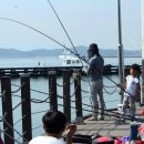 가우도 낚시공원 이미지