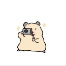 씨네플레이 노동조합 | 꽃샘추위도 마무리 되는 3월(2)