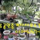 팔공산식당 네이버블로그