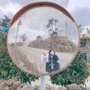 가나다문구서점 | 제주 한달살이 2일차 (우니담, 디어마이블루, 로우하이, 마틸다)