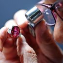 보석이네 이미지