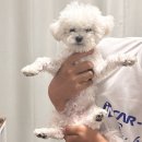 웅이목장 | 6월 이미 누가 낚아채갔네요! 아욱! 아까바!
