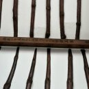 스테이 불국사계 이미지