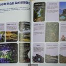 구엄리[북] 네이버블로그