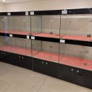 브리더독 이미지