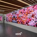 케이시스