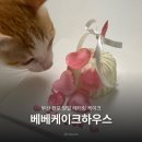 케익하우스필 | 전포당일케이크 레터링케이크 추천 베베케이크하우스 후기