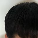폴헤어 - 북구 삼각동 | 히말라야 헤어로션 헤어폴 헤어 크림 후기