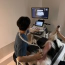 다산아이동물병원 이미지