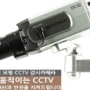 꾸뜨네일