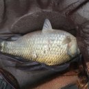 주봉낚시터 이미지