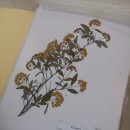 영남대학교자연박물관 이미지