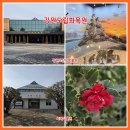 강원특별자치도립대학교 | [춘천 겨울 실내 가볼만한곳] 강원도립화목원 산림박물관 '소나무 특별전'과 실내식물원 애기동백의 미소