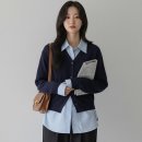 폭스 이미지
