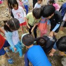 용인대 월드태권도장 이미지