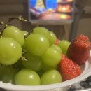 옥당걸숲속관광농원 이미지