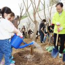순흥안씨양도공파묘군 이미지