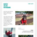 개님살롱 레이크사이드 이미지