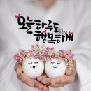 행복한하루