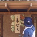 다불유시