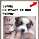 다운문방구