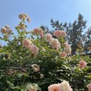 고집센그집갈비탕 부산구포점 이미지