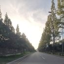 황산로 이미지