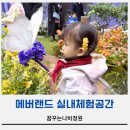 꿈에정원 | 에버랜드 꿈꾸는나비정원 방문 후기, 위치부터 체험팁까지