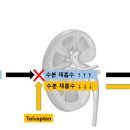 도곡치유동물병원 이미지