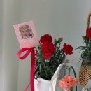 🌸 청주 송절동 꽃집 추천, 플라워봄날 다녀온 후기 (어버이날 화분 예약)