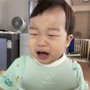 진인어린이집 이미지