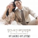 프라자웨드 이미지