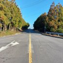 위미3리교차로 1 이미지