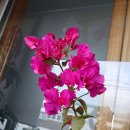 11월 27일 글라라의 수다 이미지