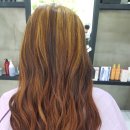 퍼니브릿지 이미지