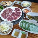 알프스염소 Daum카페