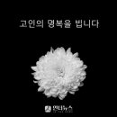 주식회사진성부동산중개법인 이미지