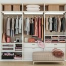 에이스엠 | 지긋지긋했던 좀벌레퇴치 약 하나로 고생 끝!