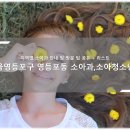 지인소아청소년과의원 이미지