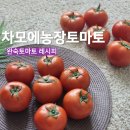 회원농장 | 산지 직송 차모에농장 완숙토마토 신선도부터 맛까지 정직한 후기