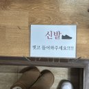 생태와갈치식당 | [묵호 노포 찐맛집] '행복식당' / 묵호시장 장치 조림...조림 / 태어나서 처음 먹어본 장치 조림 솔직후기