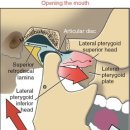 본큐어한의원 이미지