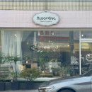 블루밍 플라워 앤 가든 이미지