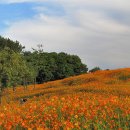 선학체육관 이미지