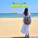 하이루프 트래블 백팩 호피 플라워 여행가방 데일리백 솔직 후기