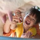 낙농목장 이미지